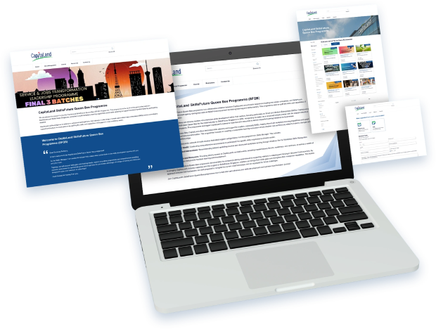 CapitaLand – SkillsFuture Queen Bee Programme case study preview