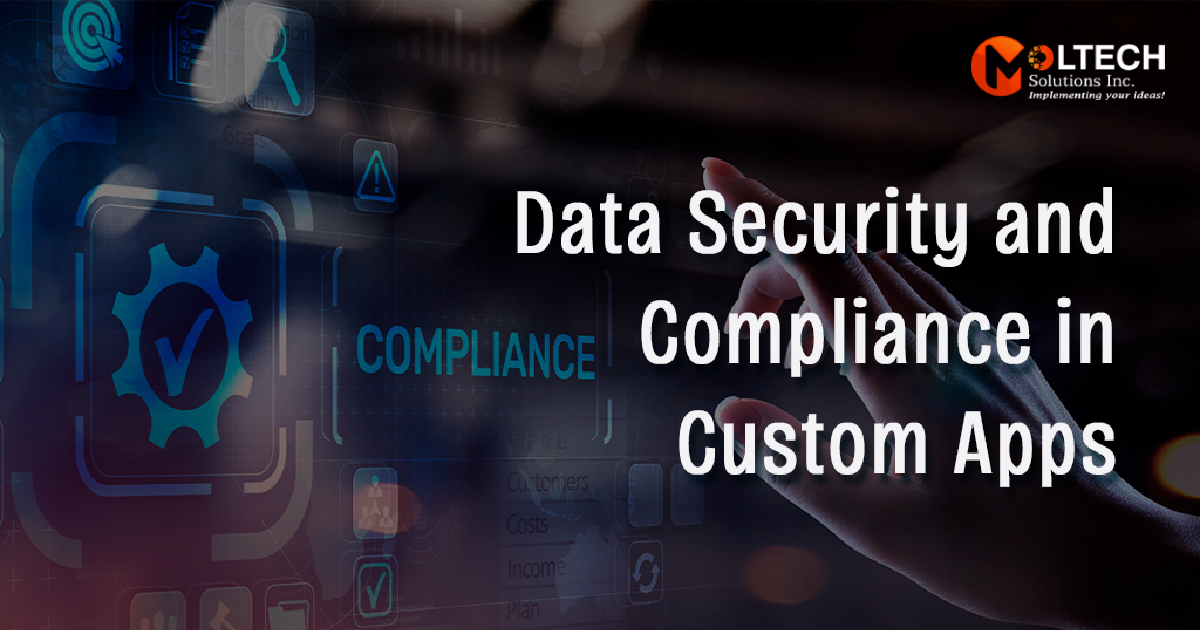 Data Security in Custom Apps | Best Practices Guide