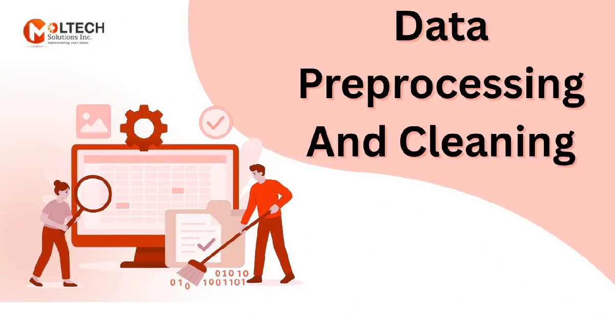 Data Preprocessing Services | Moltech Solutions Inc., Texas